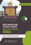 Tanah Pinem Subdistrict In Figures 2022